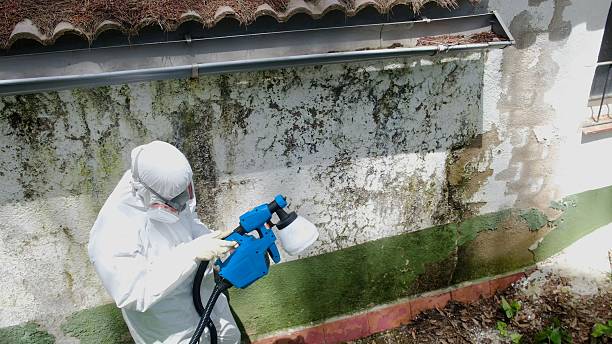 Top rated local Mold Remediation specialists in Lewisburg, TN